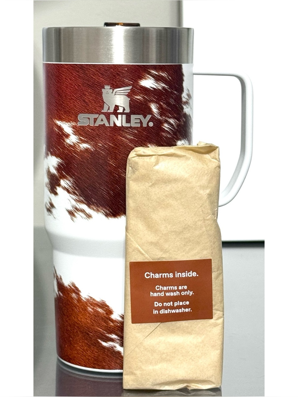 STANLEY X KACEY MUSGRAVES 16OZ EVERYDAY SUBURBAN MUG, RODEO - Picture 3 of 7